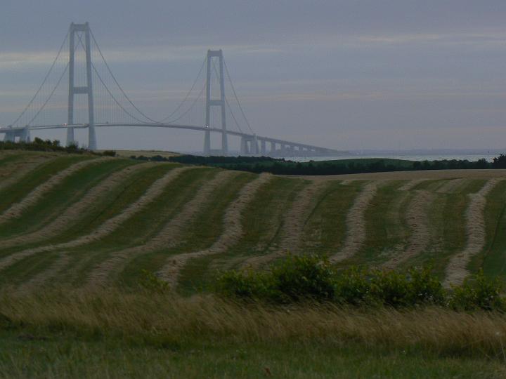 P1010078 